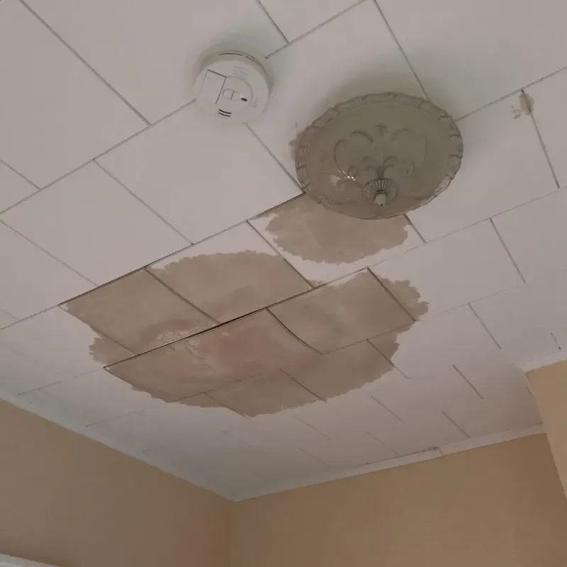 Ceiling Water Damage Repair in Keene, TX