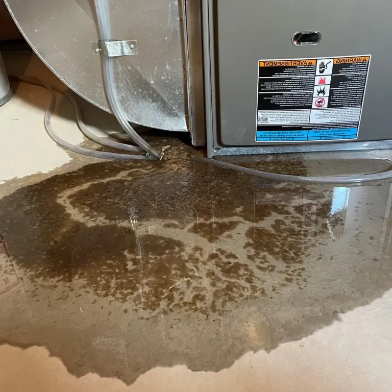 Pipe Burst and Leak Restoration in Keene, TX